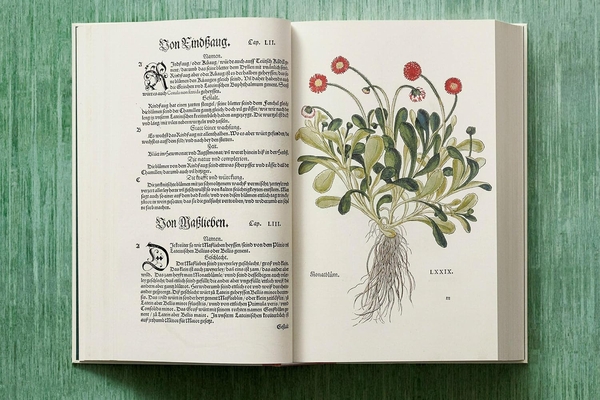 Паперова книга «Leonhart Fuchs. The New Herbal», автор Вернер Дрессендерфер - фото №1