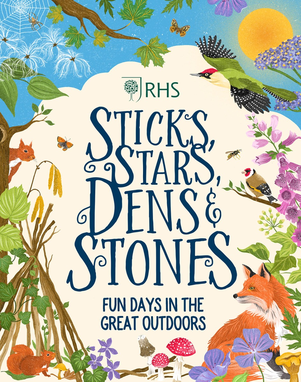Бумажная книга «Sticks, Stars, Dens and Stones. Fun Days in the Great Outdoors», автор Эмиль Форчун - фото №1
