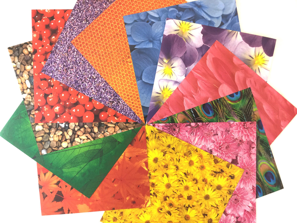 Бумажная книга «Origami Paper. 200 Sheets. Nature Patterns. 15 cm» - фото №1