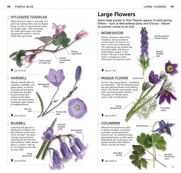 Паперова книга «What's that Flower? The Simplest ID Guide Ever» - фото №1