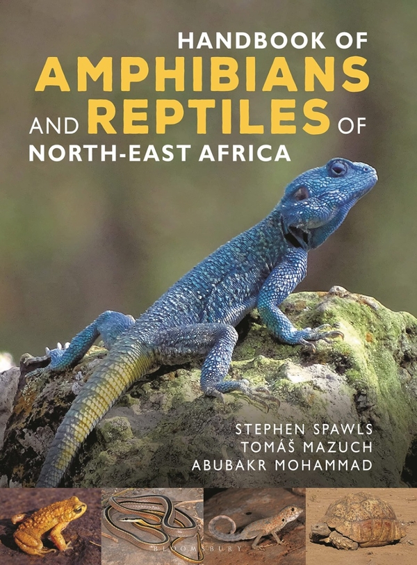 Бумажная книга «Handbook of Amphibians and Reptiles of North-east Africa», авторов Стив Спаулс, Абубакр Мохаммад, Томаш Мазух - фото №1