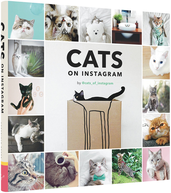 Бумажная книга «Cats On Instagram» - фото №1