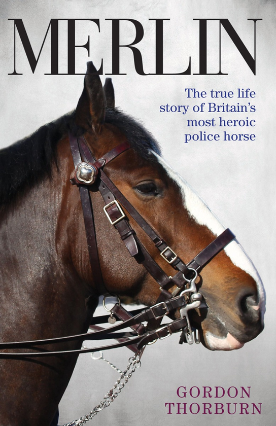 Бумажная книга «Merlin: The True Life Story of Britain's Most Heroic Police Horse», автор Гордон Торбарн - фото №1