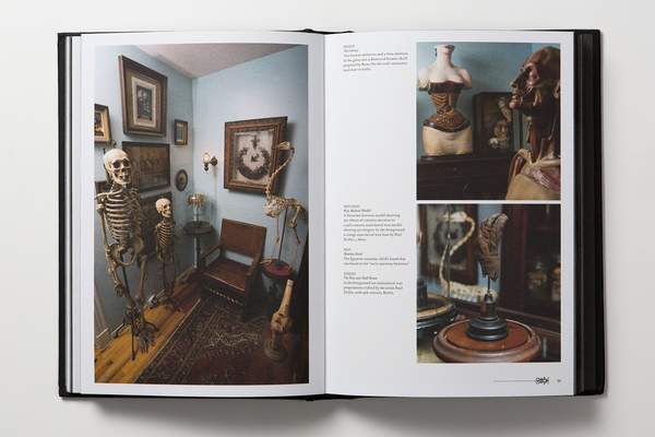 Бумажная книга «Morbid Curiosities. Collections of the Uncommon and the Bizarre», автор Пол Гамбино - фото №1