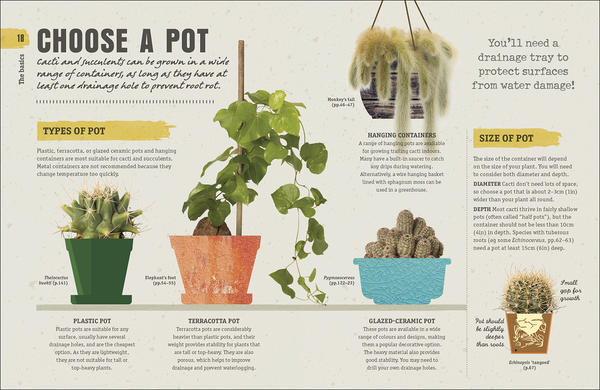 Бумажная книга «Happy Cactus. Choose It, Love It, Let It Thrive» - фото №1