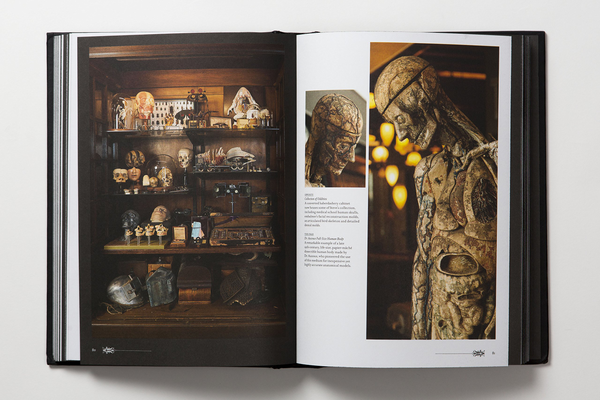 Бумажная книга «Morbid Curiosities. Collections of the Uncommon and the Bizarre», автор Пол Гамбино - фото №1