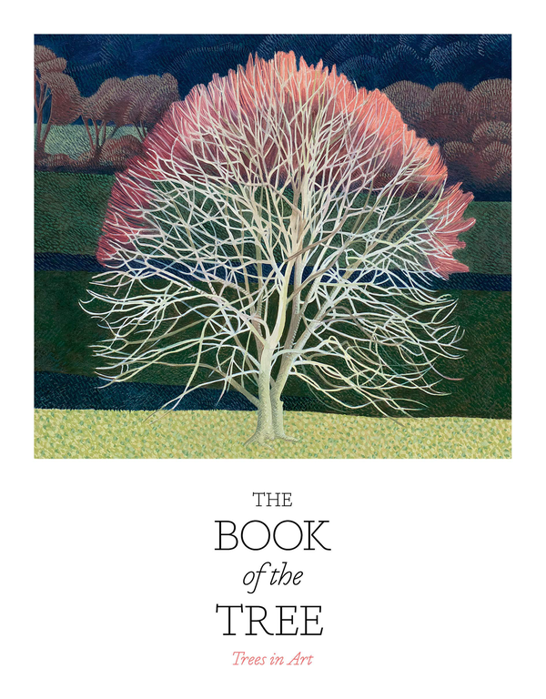 Бумажная книга «The Book of the Tree. Trees in Art», авторов Ангус Хайленд, Кендра Уилсон - фото №1