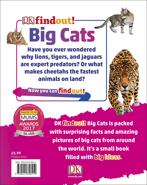 Бумажная книга «DKfindout! Big Cats » - фото №1