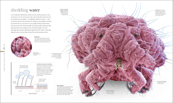 Бумажная книга «Micro Life» - фото №1