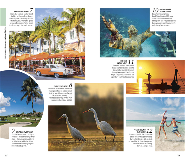 Паперова книга «Florida» - фото №1