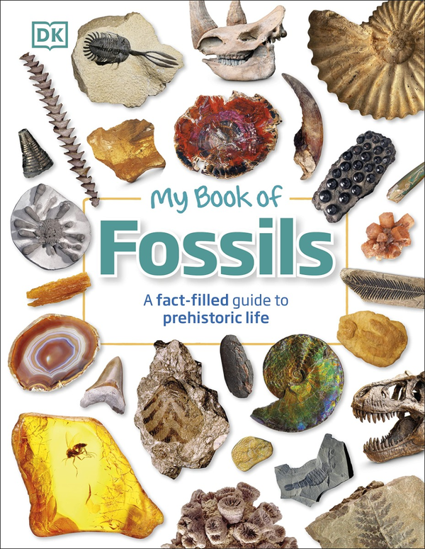 Бумажная книга «My Book of Fossils», автор Дин Ломакс - фото №1