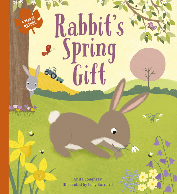 Бумажная книга «Rabbit's Spring Gift», автор Анита Лоури - фото №1
