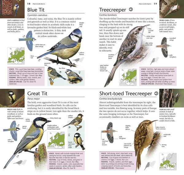 Бумажная книга «RSPB Pocket Birds of Britain and Europe» - фото №1