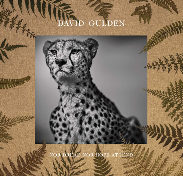 Бумажная книга «David Gulden. Nor Dread Nor Hope Attend.Photographs From The Plains of Africa», автор Дэвид Гулден - фото №1