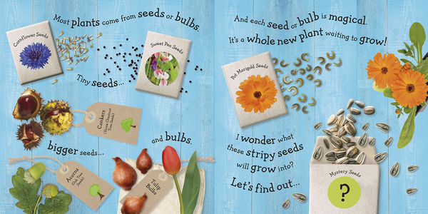 Бумажная книга «RHS I Can Grow A Sunflower» - фото №1