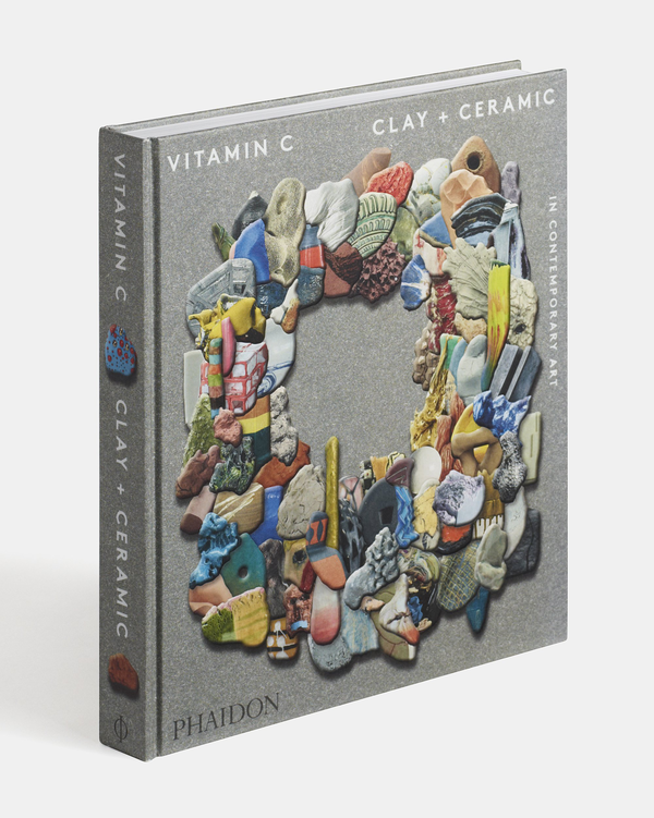 Бумажная книга «Vitamin C. Clay and Ceramic in Contemporary Art», автор Клэр Лилли - фото №1
