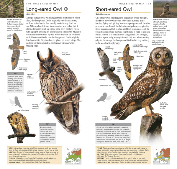Бумажная книга «RSPB Pocket Birds of Britain and Europe» - фото №1