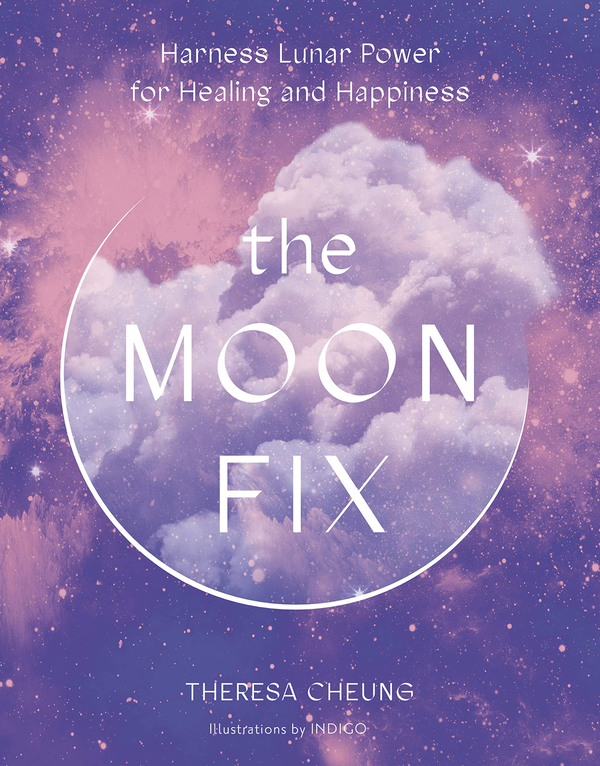 Паперова книга «The Moon Fix», автор Тереза Ченг - фото №1