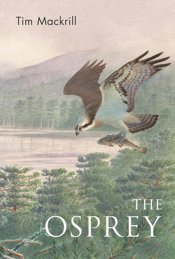 Паперова книга «The Osprey», автор Тім Макрілл - фото №1