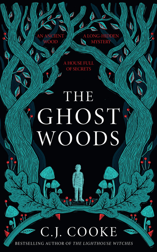 Паперова книга «The Ghost Woods», автор Керолін Джесс-Кук - фото №1
