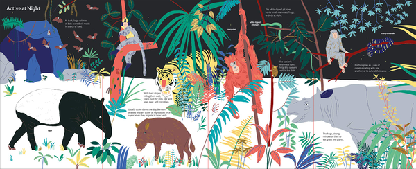 Паперова книга «Ultimate Spotlight: Rain Forest Animals», автор Сандра Лабукарі - фото №1