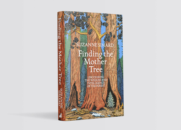 Бумажная книга «Finding the Mother Tree », автор Сюзанна Симард - фото №1