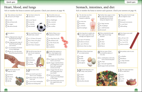 Бумажная книга «Human Body Workbook» - фото №1