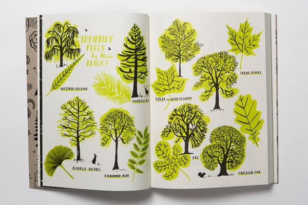Паперова книга «Hello Nature. Draw, Collect, Make and Grow», автор Ніна Чакрабарті - фото №1