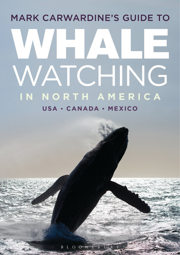 Бумажная книга «Mark Carwardine's Guide to Whale Watching in North America», автор Марк Карвардин - фото №1