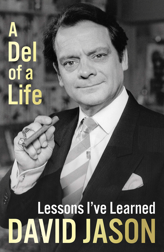 Бумажная книга «A Del of a Life», автор Дэвид Джейсон - фото №1