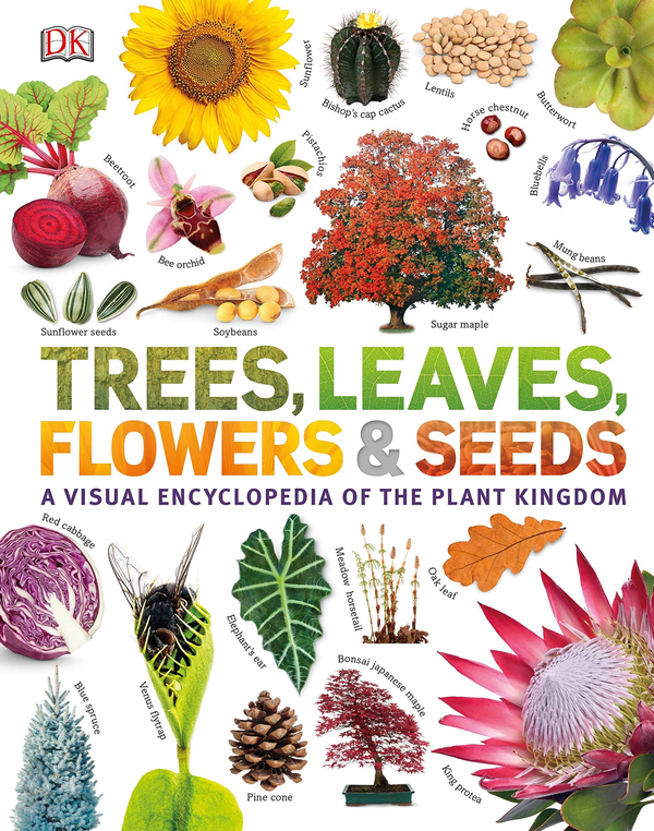 Бумажная книга «Trees, Leaves, Flowers and Seeds. A visual encyclopedia of the plant kingdom», автор Сара Хосе - фото №1