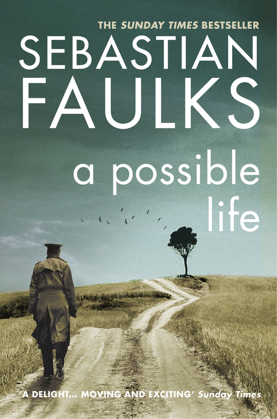 Паперова книга «A Possible Life», автор Себастьян Фолкс - фото №1