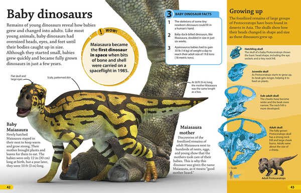 Бумажная книга «Dkfindout! Dinosaurs» - фото №1