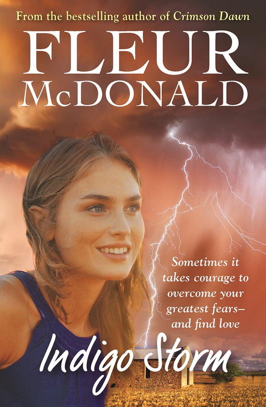 Бумажная книга «Indigo Storm», автор Флер МакДональд - фото №1