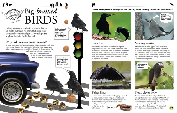 Бумажная книга «Everything You Need to Know About Birds» - фото №1