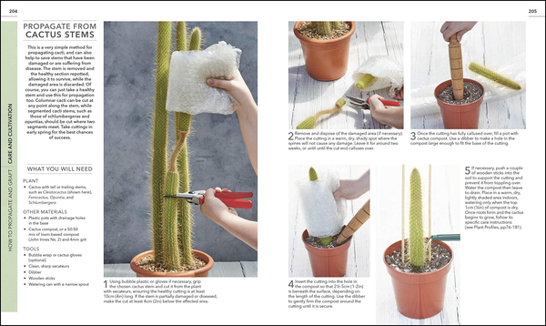 [object Object] «RHS Practical Cactus and Succulent Book. How to Choose, Nurture, and Display more than 200 Cacti and Succulents» - фото №5 - мініатюра