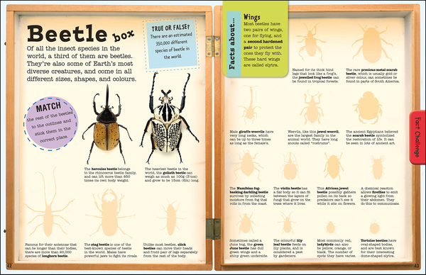 Бумажная книга «Bugs Ultimate Factivity Collection. Create your own Fun-packed Book! » - фото №1