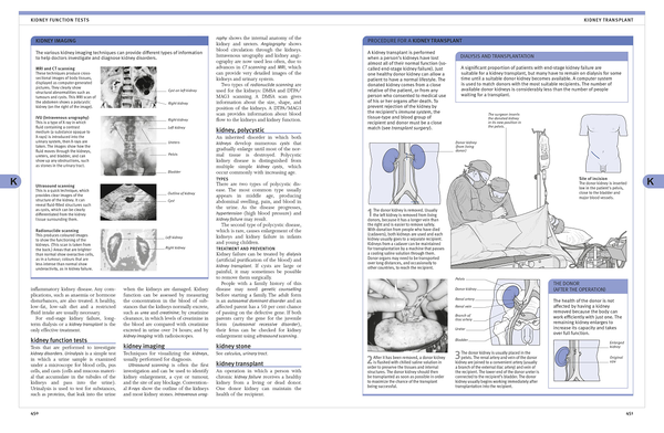 Бумажная книга «BMA A-Z Family Medical Encyclopedia» - фото №1