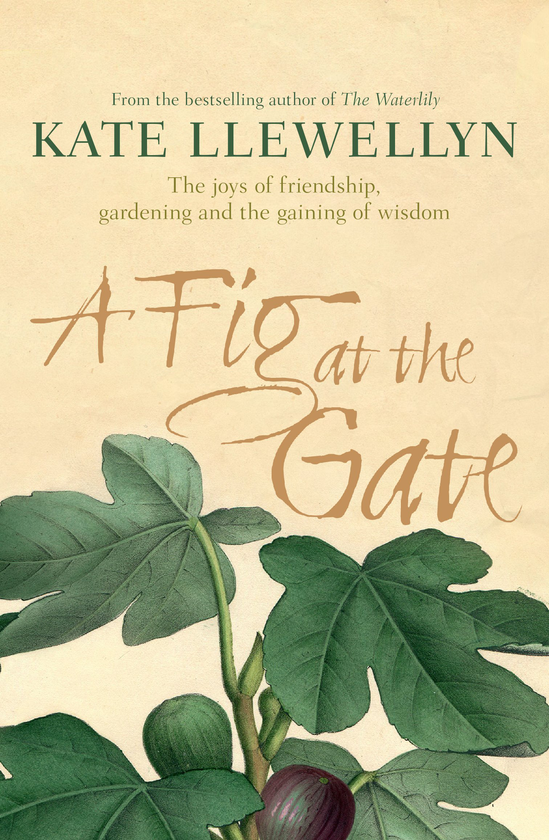 Бумажная книга «A Fig at the Gate. The Joys of Friendship, Gardening and the Gaining of Wisdom», автор Кейт Ллевеллин - фото №1