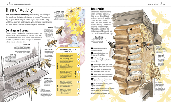 Бумажная книга «The Bee Book» - фото №1