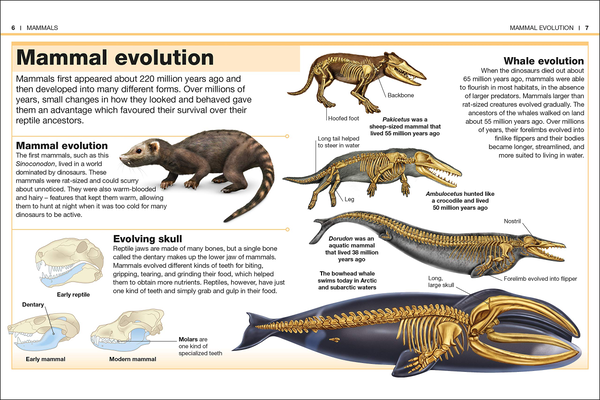 Бумажная книга «Mammals. Facts at Your Fingertips» - фото №1