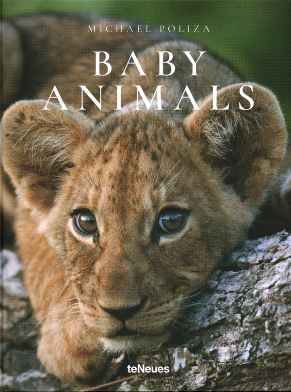 Паперова книга «Baby Animals», автор Майкл Поліза - фото №1