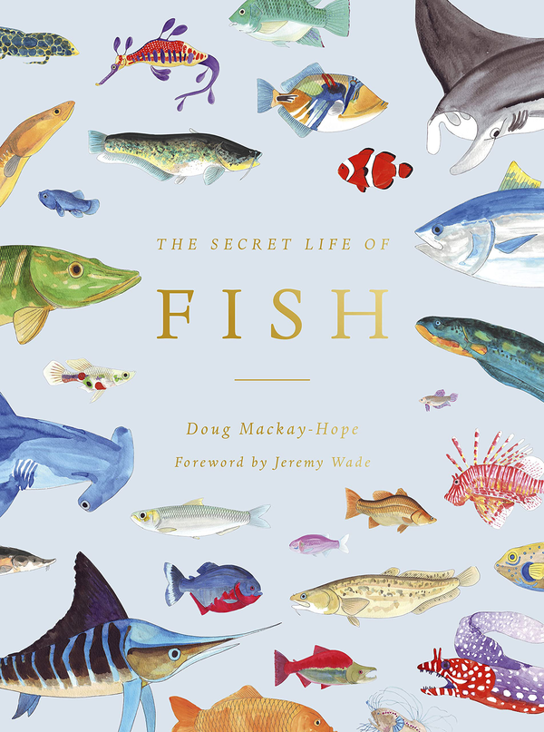 Бумажная книга «Secret Life of Fish. The Astonishing Truth about our Aquatic Cousins», автор Дуг Маккай-Хоп - фото №1