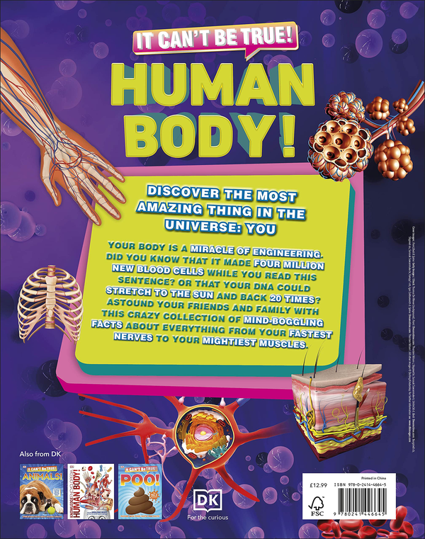 Бумажная книга «It Can't Be True! Human Body!» - фото №1
