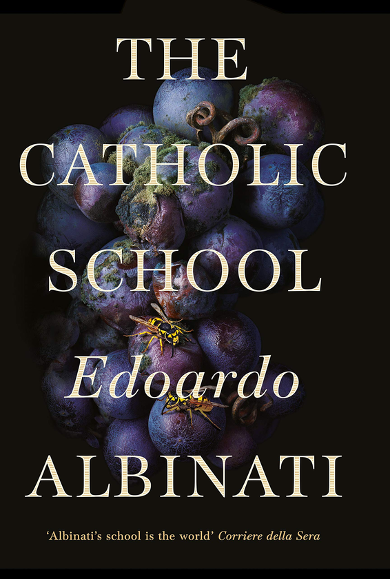 Паперова книга «The Catholic School», автор Едоардо Альбінаті - фото №1