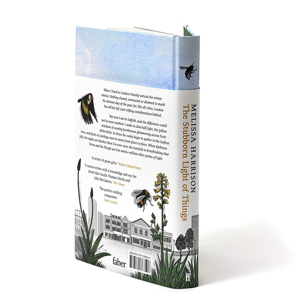 Паперова книга «The Stubborn Light of Things », автор Мелісса Харрісон - фото №1