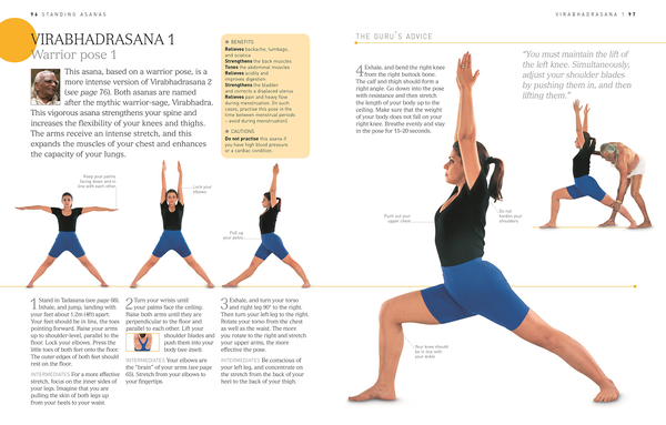 Бумажная книга «BKS Iyengar Yoga The Path to Holistic Health», автор Б. К. С. Айенгар - фото №1