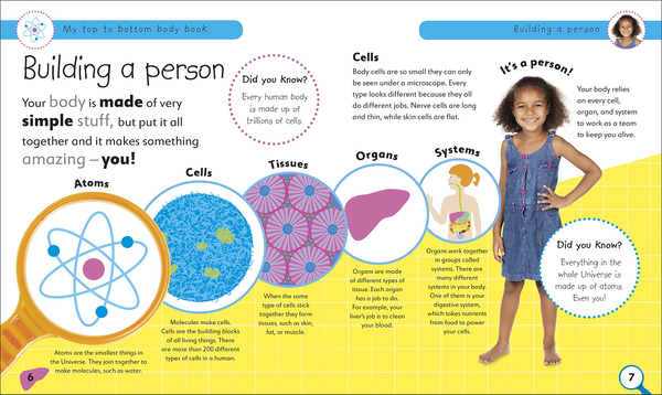 Бумажная книга «My Top to Bottom Body Book. What Makes a Happy, Healthy Body and What Makes You?» - фото №1