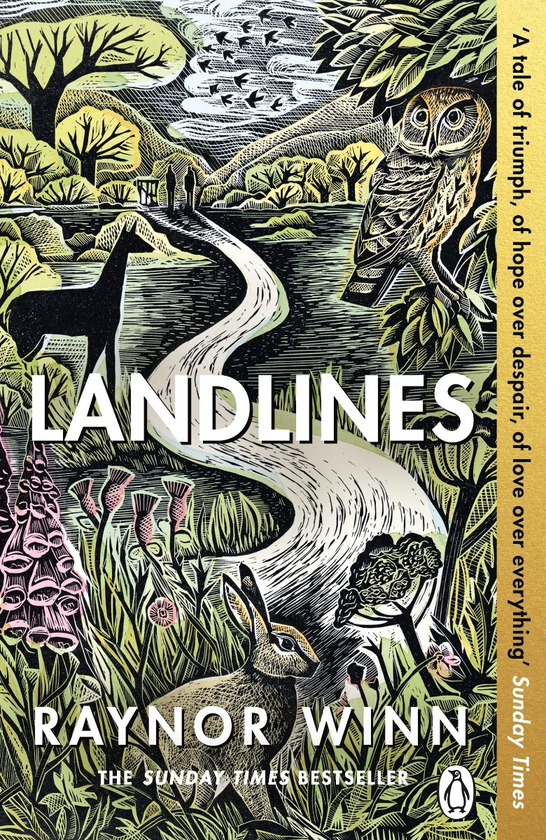 Бумажная книга «Landlines», автор Рейнор Уинн - фото №1