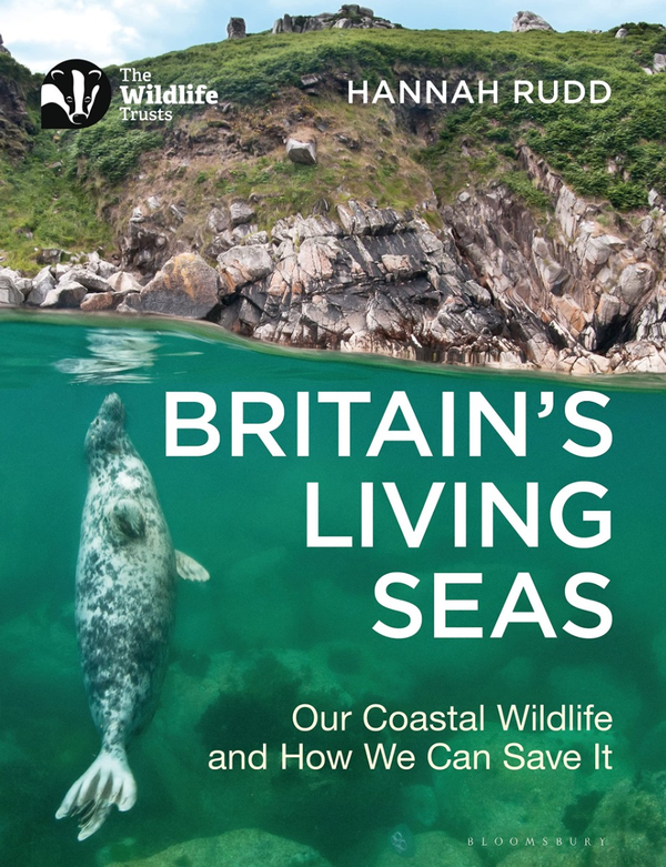 Бумажная книга «Britain's Living Seas», автор Ханна Радд - фото №1